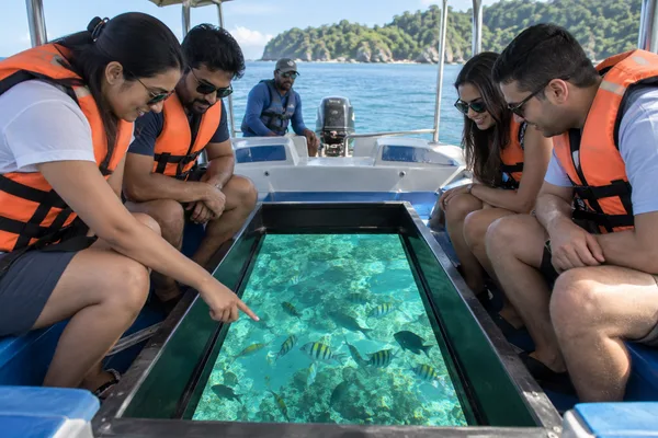 glass bottom boat activity scene